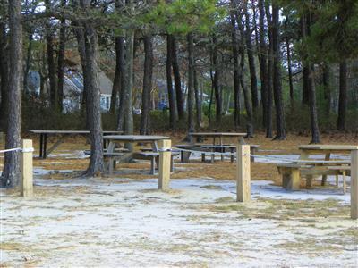 33 Nehoiden Road Mashpee, MA 02649 - Photo 5 of 12 a view of a backyard of the house