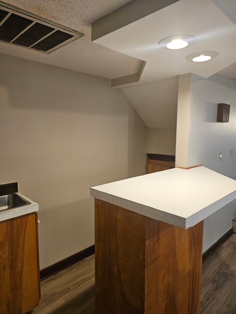 114 Houston Street Clemson, SC 29631 - Photo 5 of 19 Functional basement bar features integrated laminate counters and wood grain cabinetry below recessed lighting.