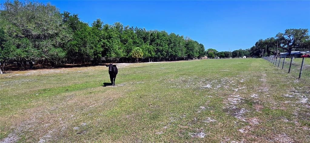 0 Connell Road Plant City, FL 33567 - Photo 24 of 29 Gallery Image 24