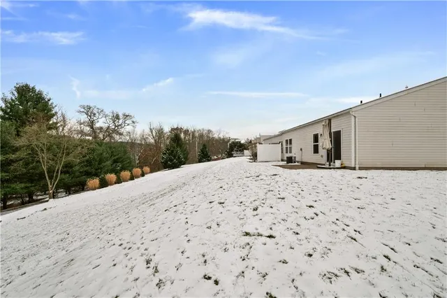 a very nice looking yard with a mountain