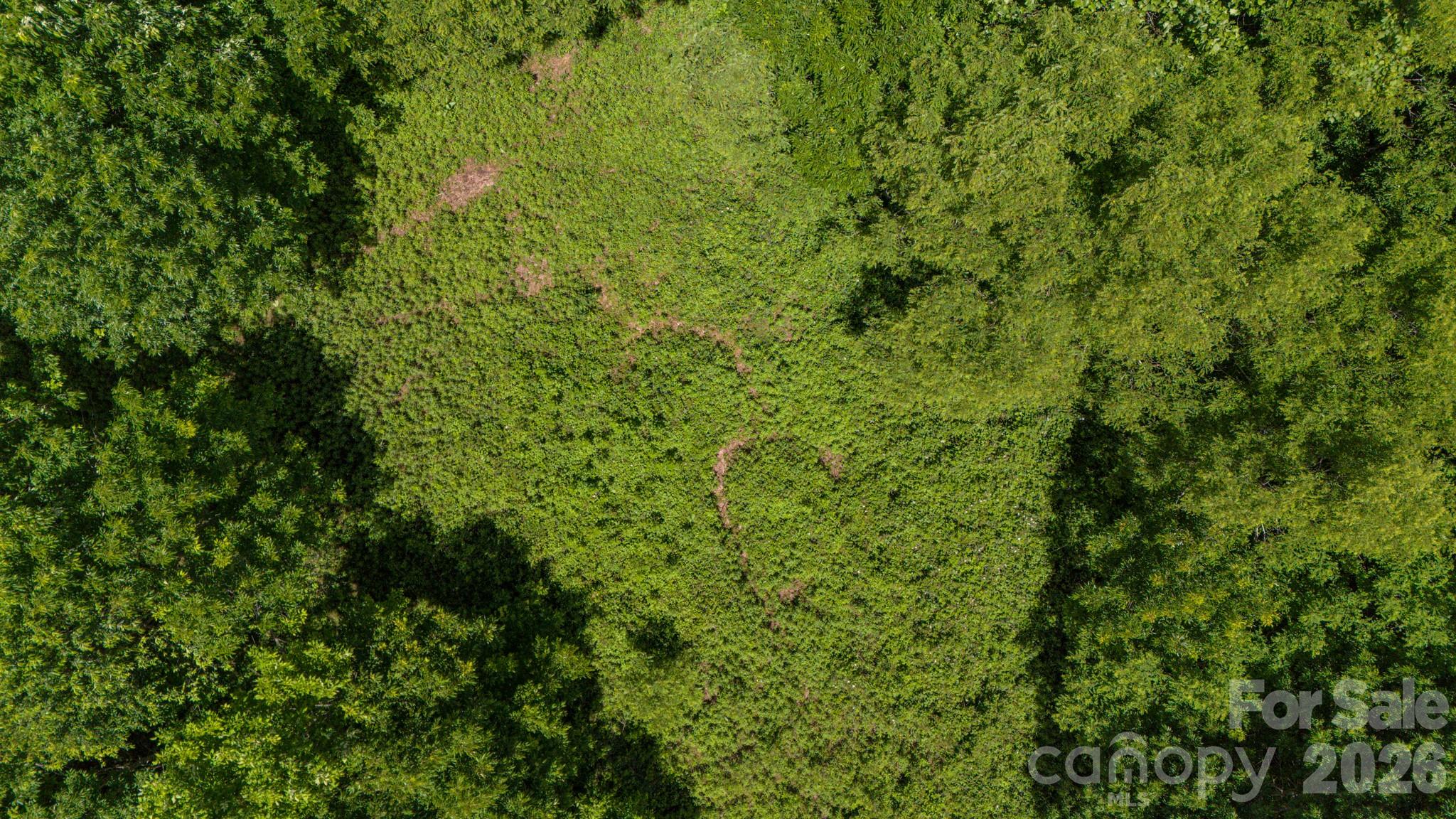 2 Turkey Trot Road Clyde, NC 28721 - Photo 27 of 48