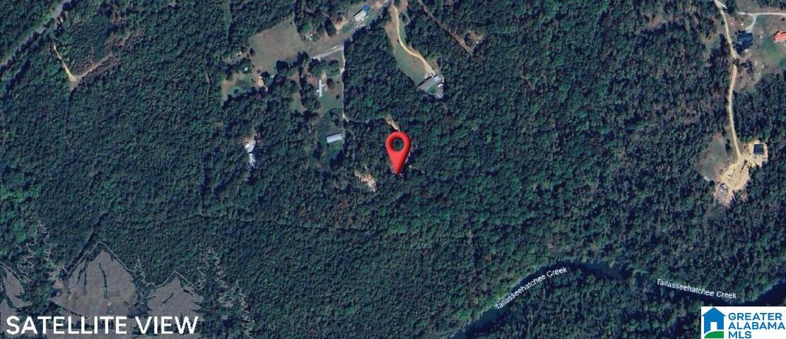 511 Old Creek Road Ohatchee, AL 36271 - Photo 2 of 11