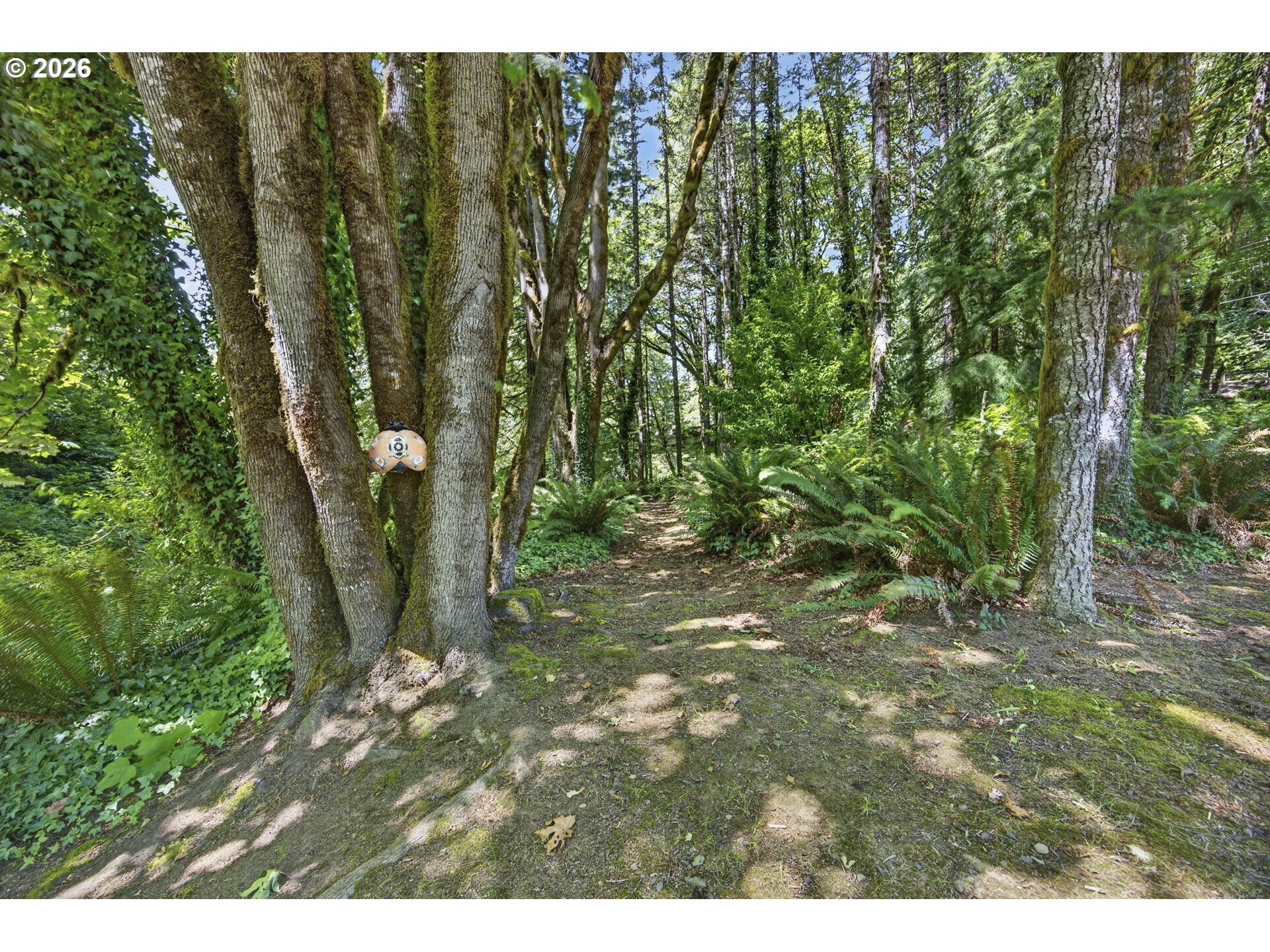 12290 Highway 126 Mapleton, OR 97453 - Photo 42 of 43 Garden
