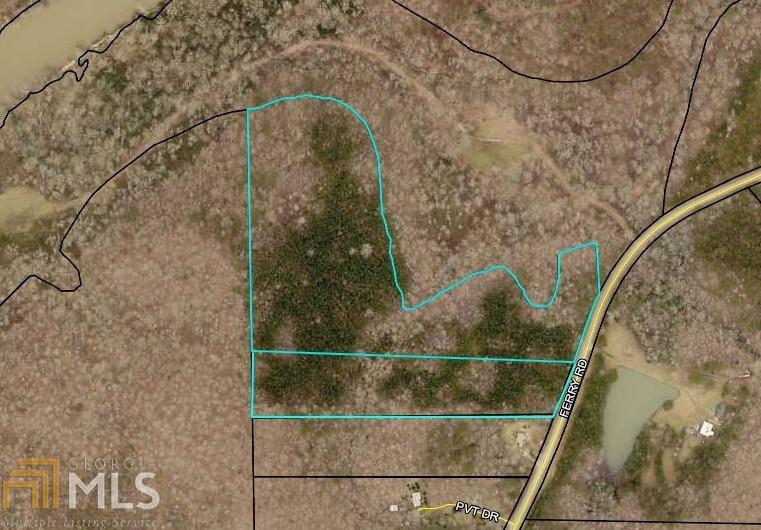 0 Ferry Road, Unit 28 24 / AC Franklin, GA 30217 - Photo 1 of 1