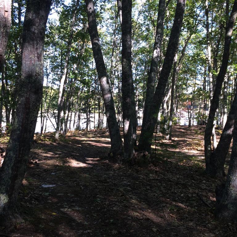 500 Gross Neck Road Waldoboro, ME 04572 - Photo 8 of 18 Photo
