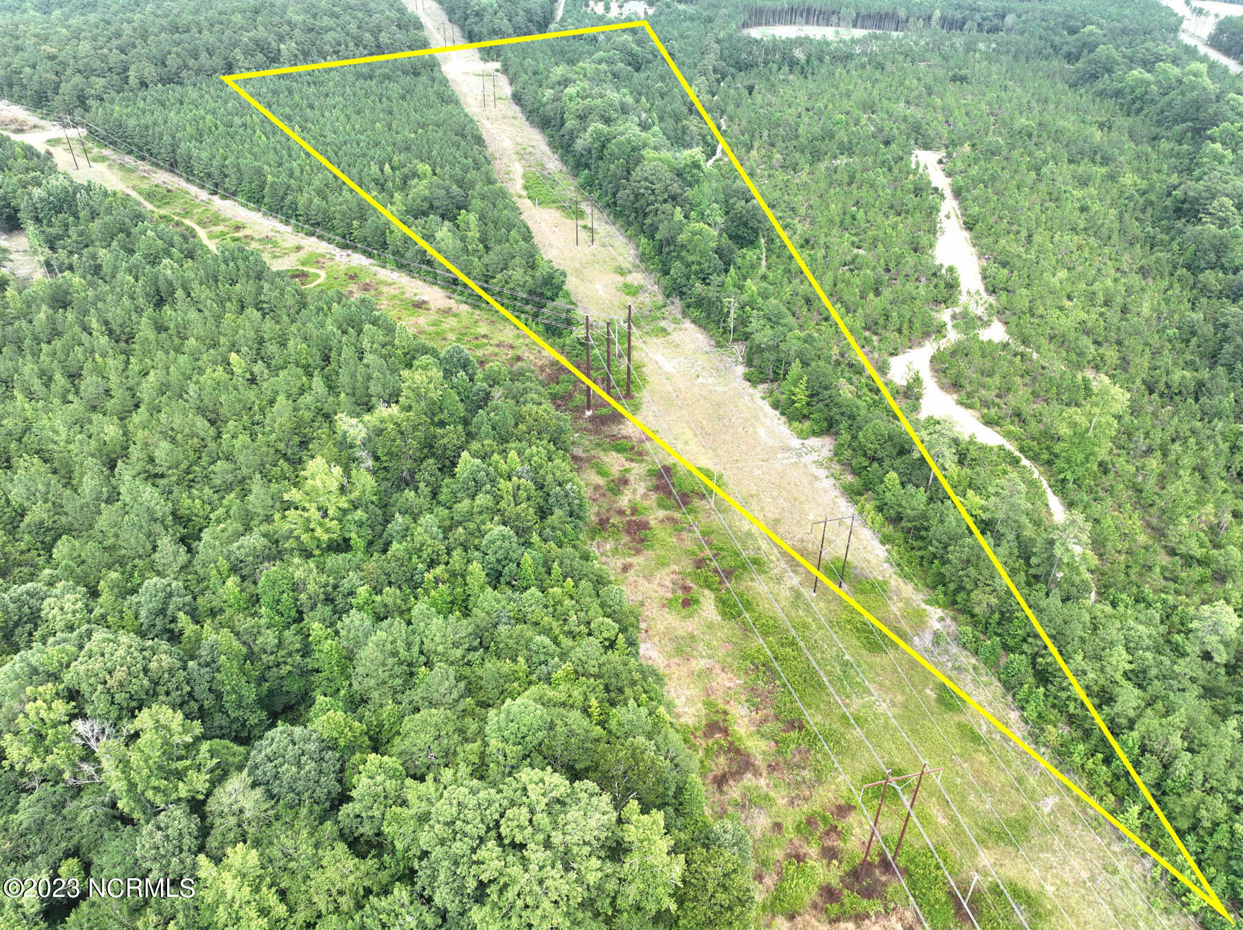 Tbd Tbd Reynview Road Jackson Springs, NC 27281 - Photo 6 of 7 Picture3