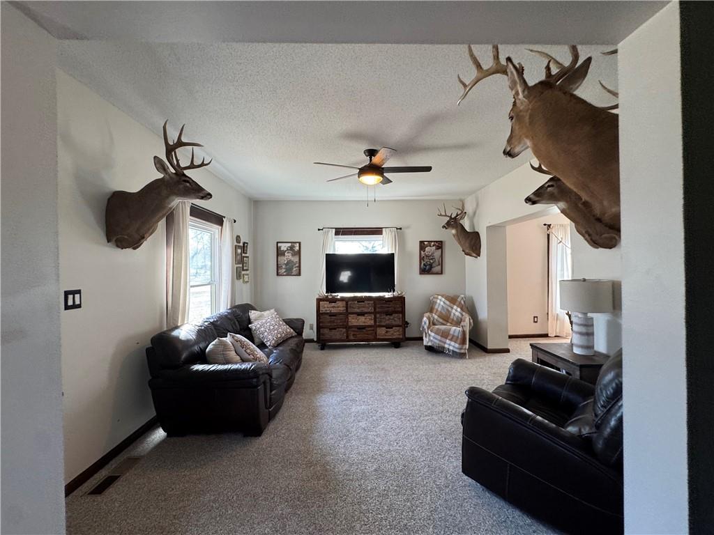 302 East 3rd Street Scammon, KS 66773 - Photo 11 of 38