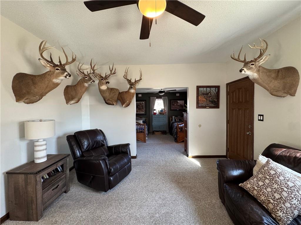 302 East 3rd Street Scammon, KS 66773 - Photo 13 of 38