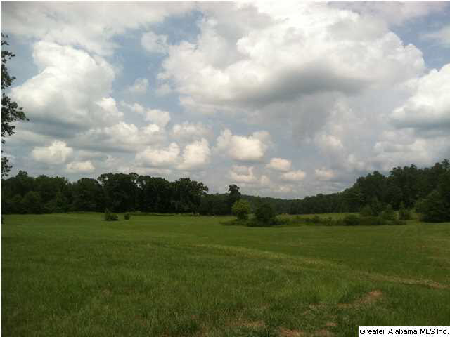 Browning Road, Unit 78 Odenville, AL 35120 - Photo 10 of 18