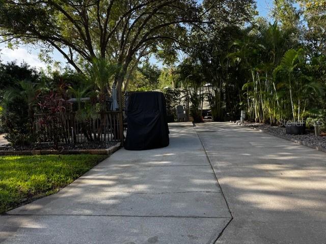 a view of a couches under a large tree