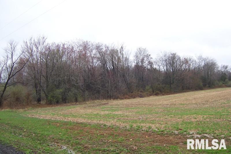 0 Angelville Road Pittsburg, IL 62974 - Photo 1 of 2 Gallery Image 1