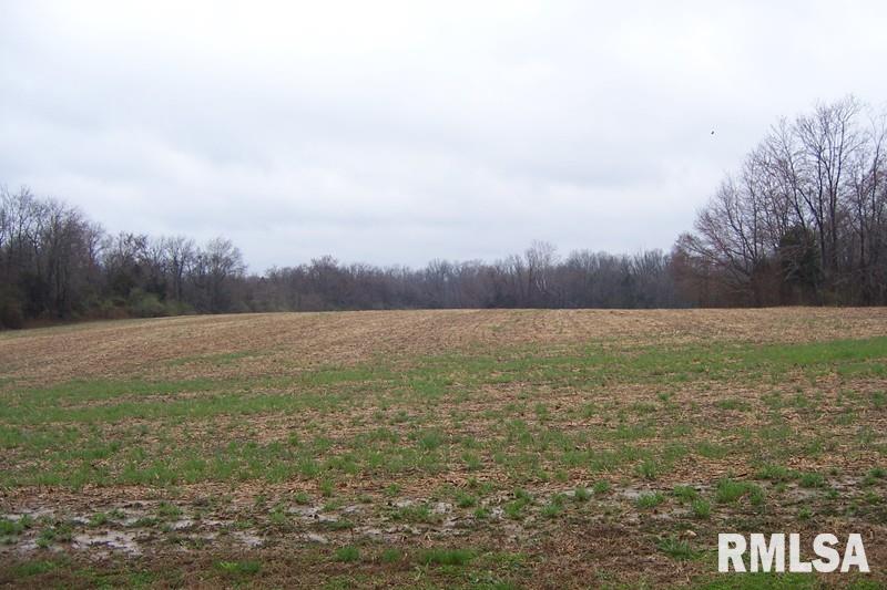 0 Angelville Road Pittsburg, IL 62974 - Photo 2 of 2 Gallery Image 2