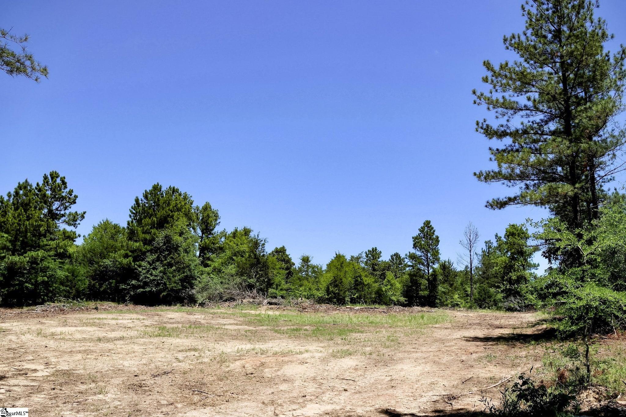 Fields Road Pauline, SC 29374 - Photo 11 of 18