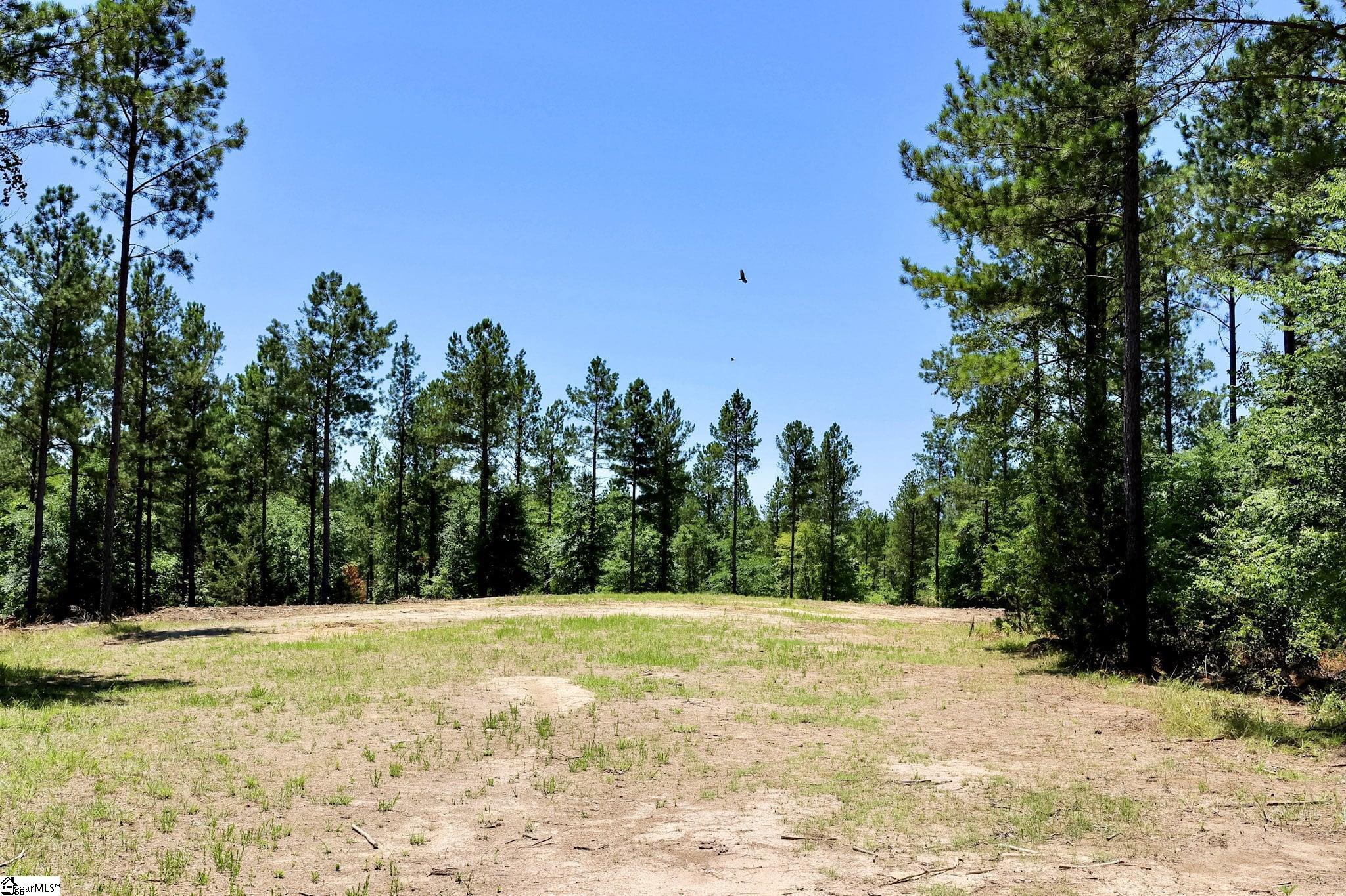 Fields Road Pauline, SC 29374 - Photo 12 of 18