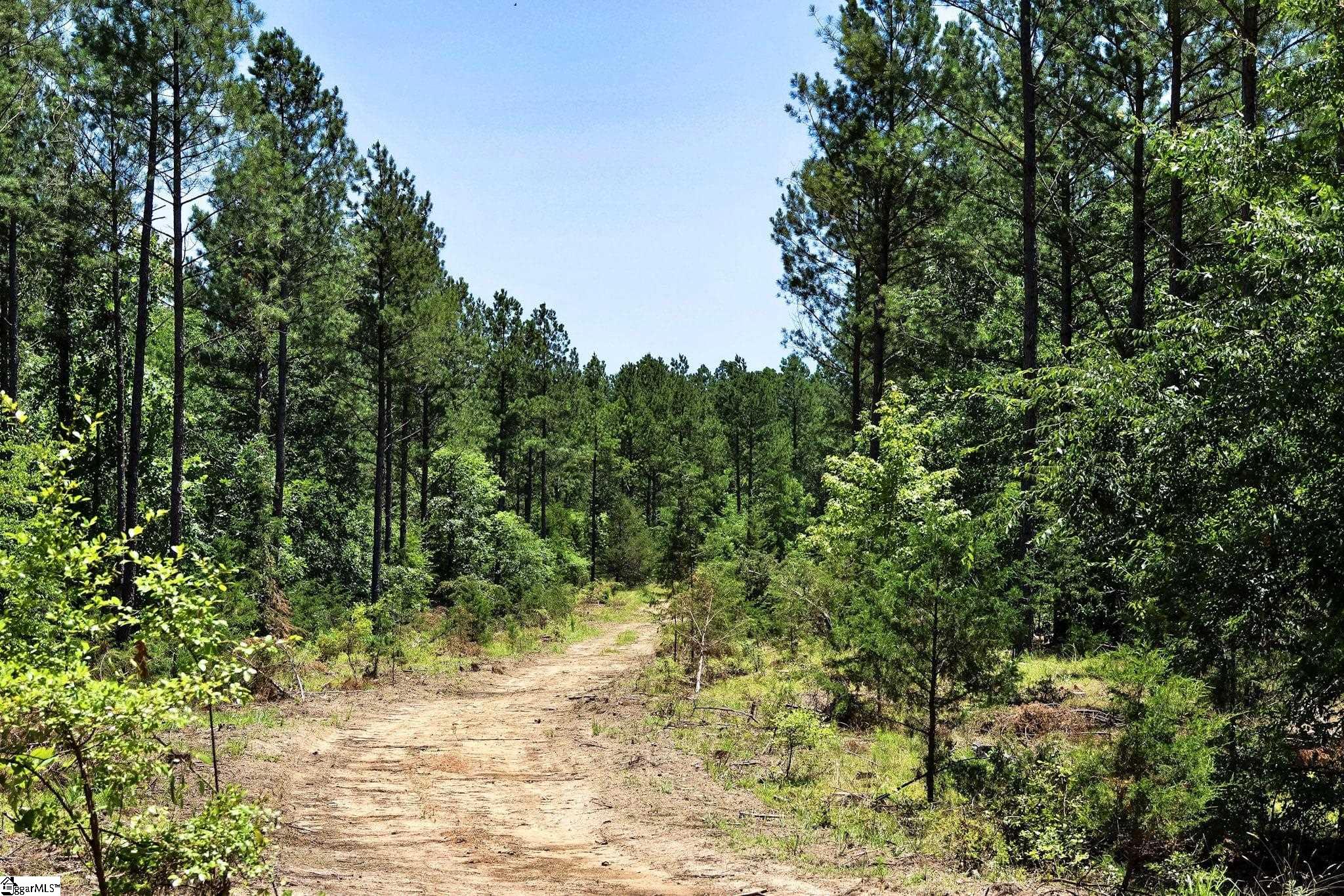 Fields Road Pauline, SC 29374 - Photo 14 of 18