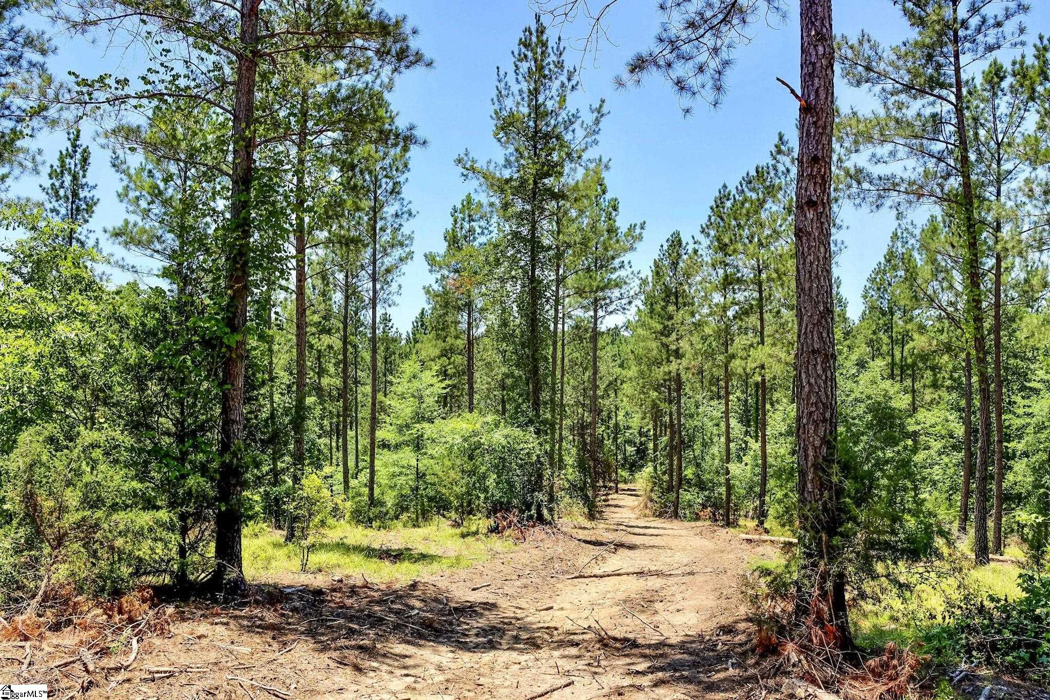 Fields Road Pauline, SC 29374 - Photo 15 of 18