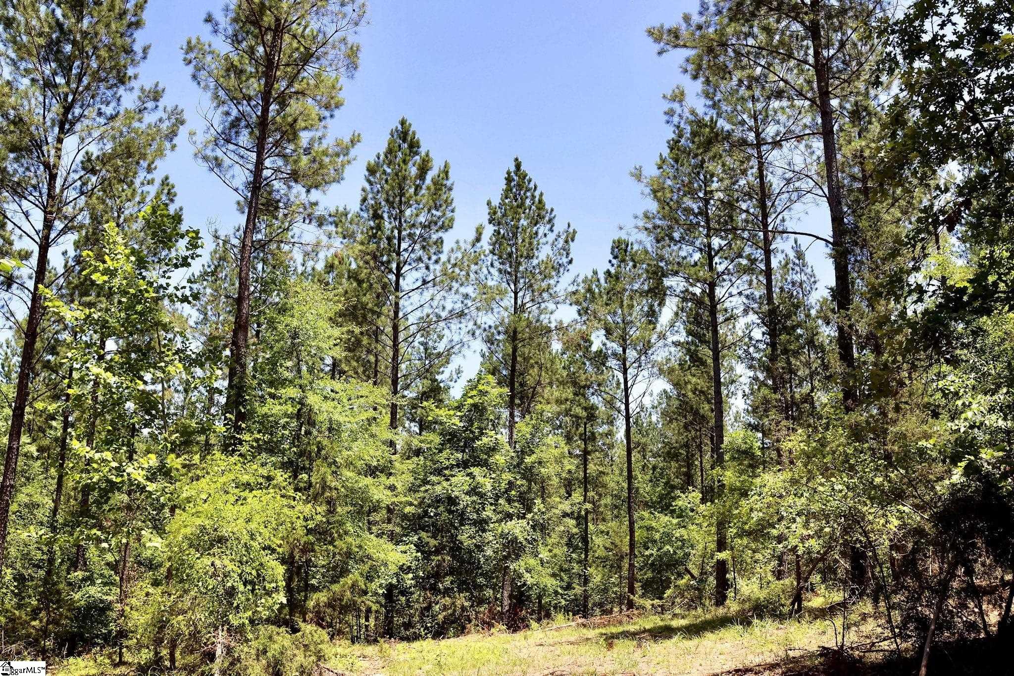 Fields Road Pauline, SC 29374 - Photo 17 of 18