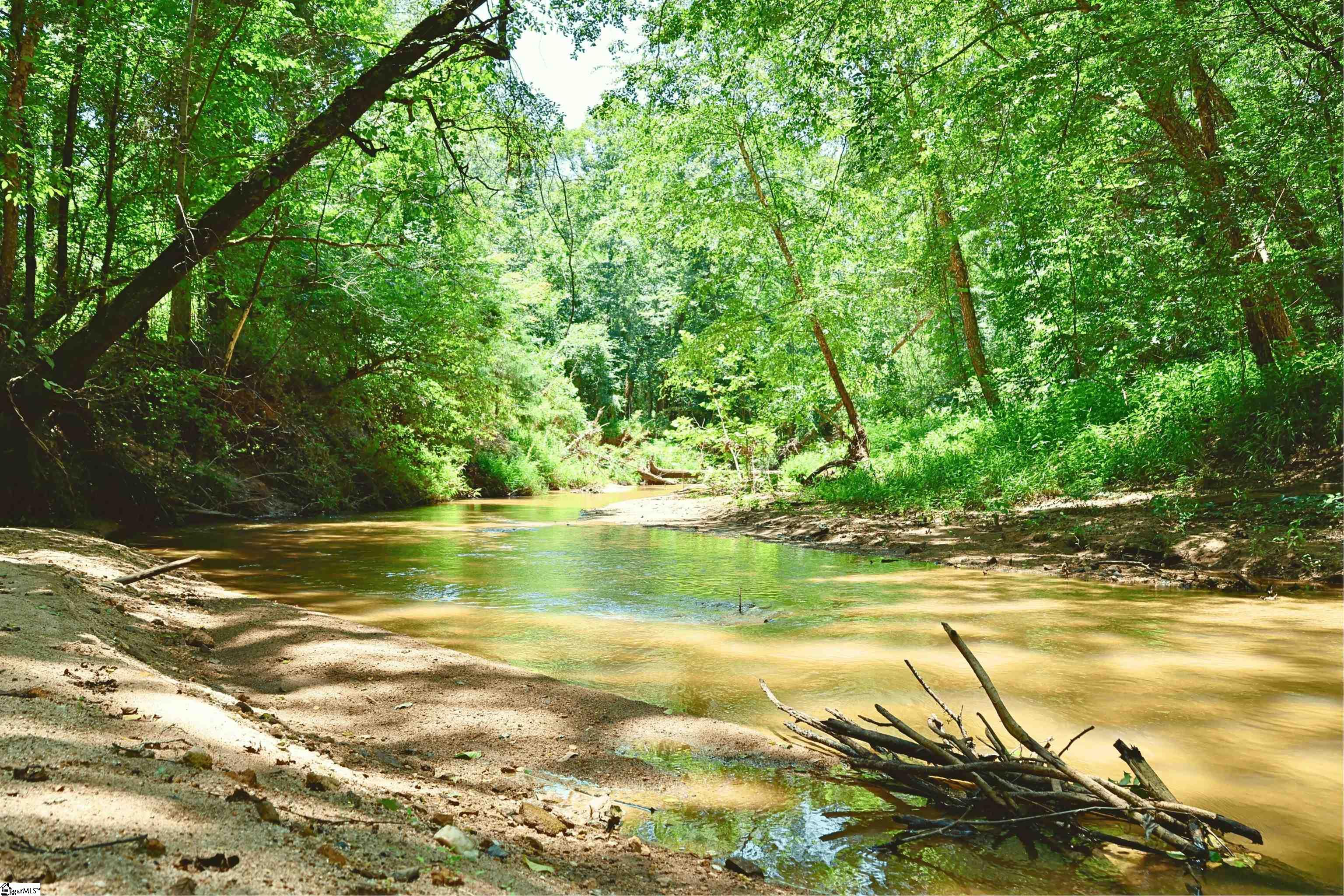 Fields Road Pauline, SC 29374 - Photo 2 of 18