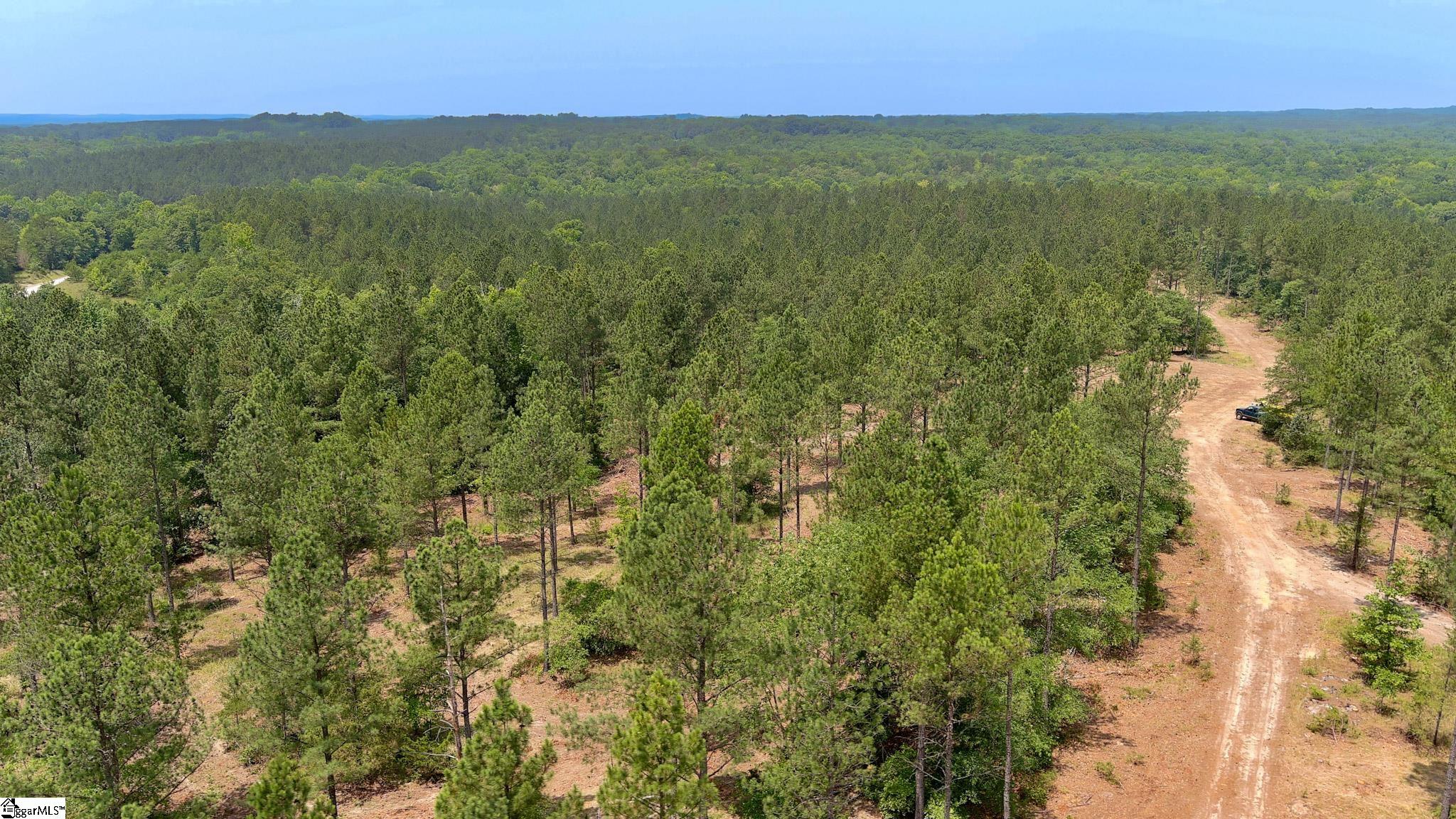 Fields Road Pauline, SC 29374 - Photo 3 of 18