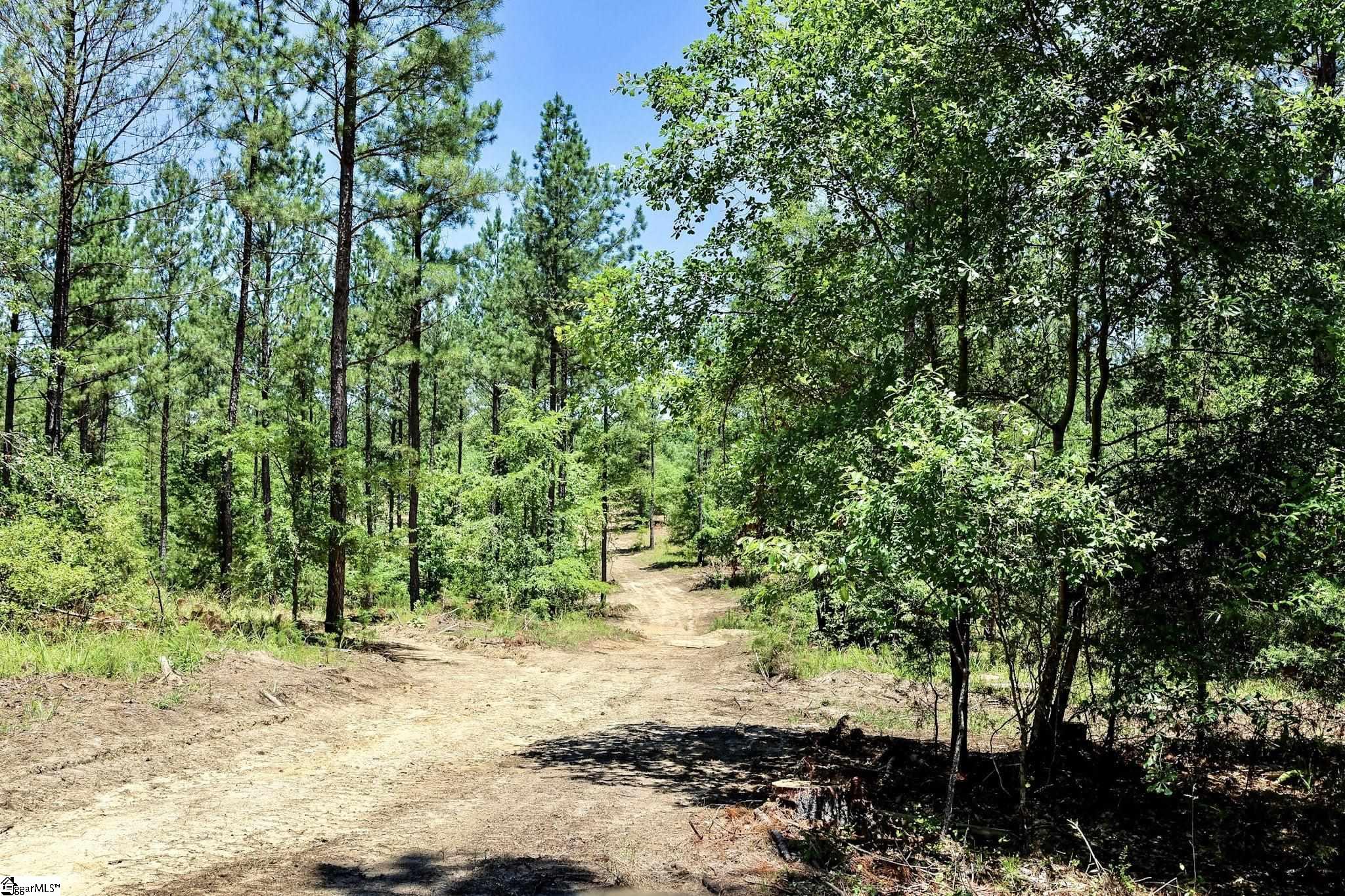 Fields Road Pauline, SC 29374 - Photo 4 of 18