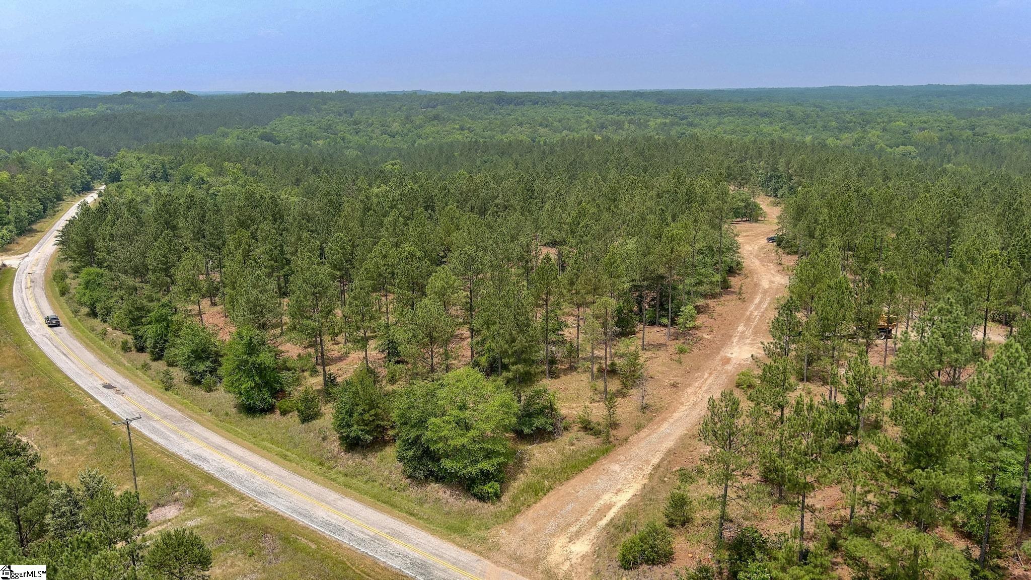 Fields Road Pauline, SC 29374 - Photo 5 of 18