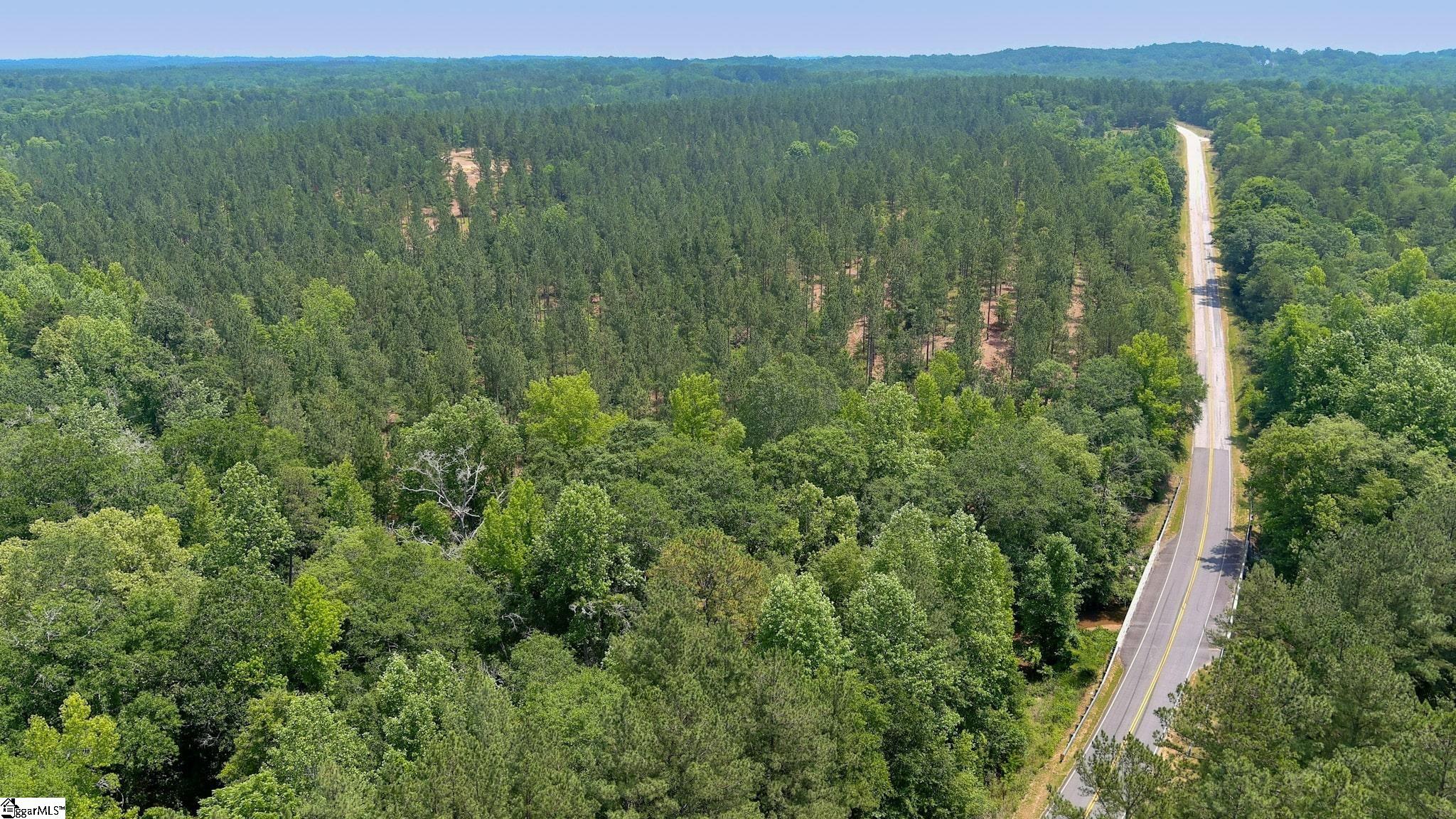 Fields Road Pauline, SC 29374 - Photo 7 of 18