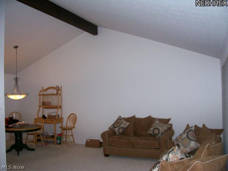 4573 McFarland Road Cleveland, OH 44121 - Photo 2 of 24