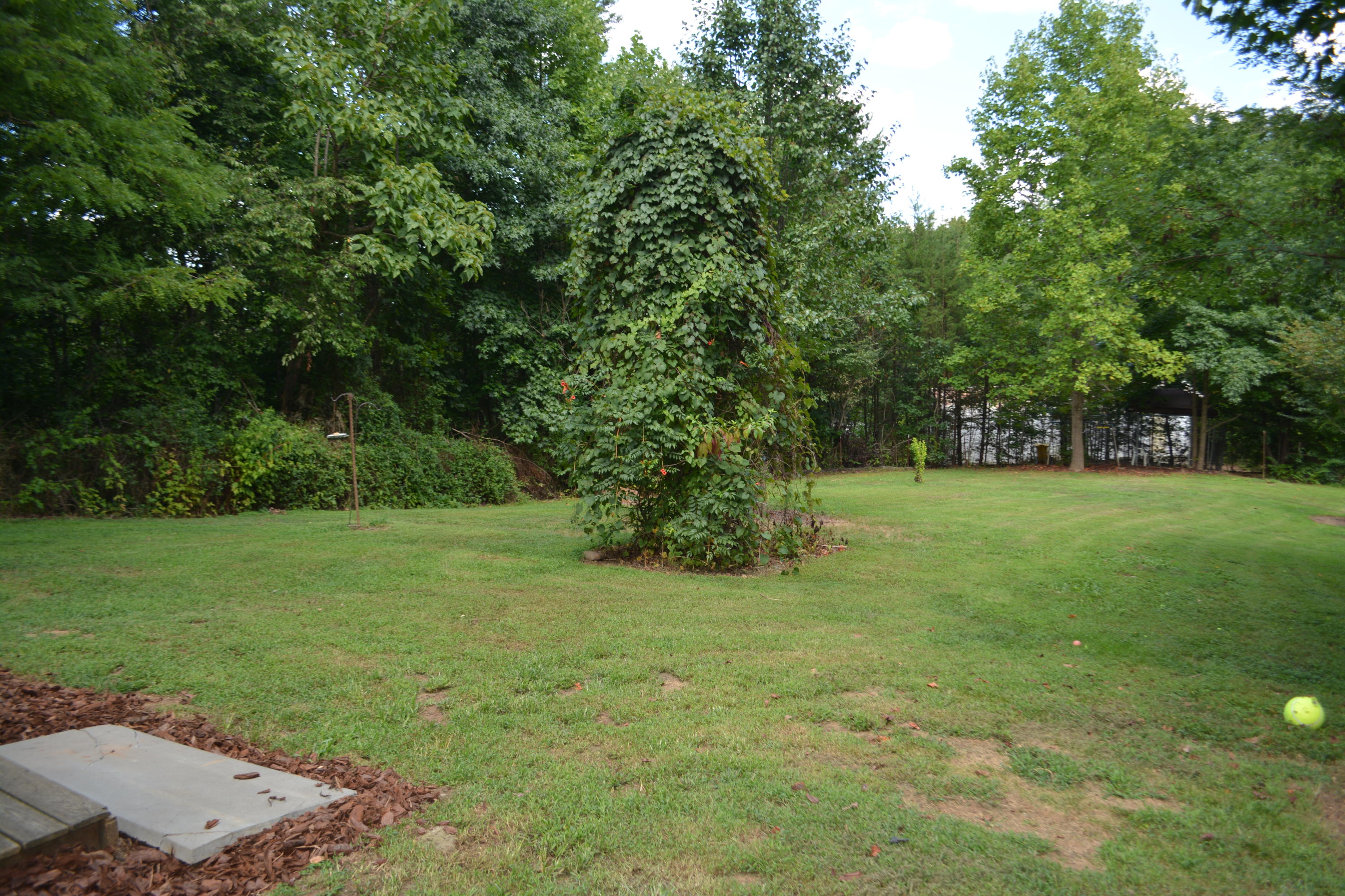 892 Haney Road Sevierville, TN 37876 - Photo 2 of 27 DSC_0048