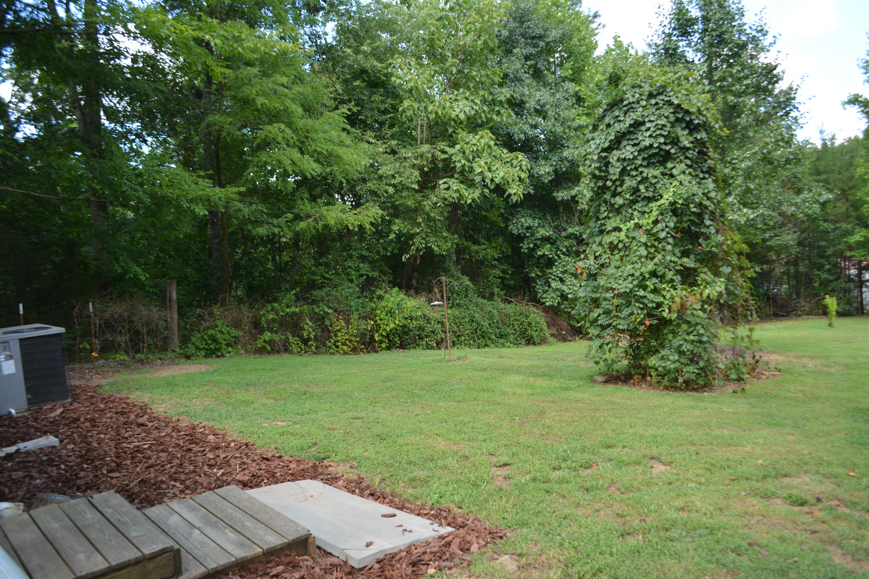 892 Haney Road Sevierville, TN 37876 - Photo 3 of 27 DSC_0050
