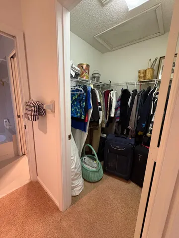 a view of a closet with storage
