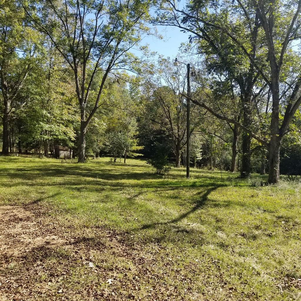489 Cranfield Road Roxie, MS 39661 - Photo 6 of 20 Photo 6