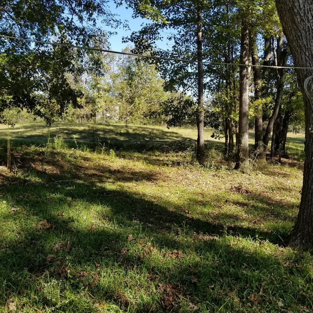 489 Cranfield Road Roxie, MS 39661 - Photo 8 of 20 Photo 8