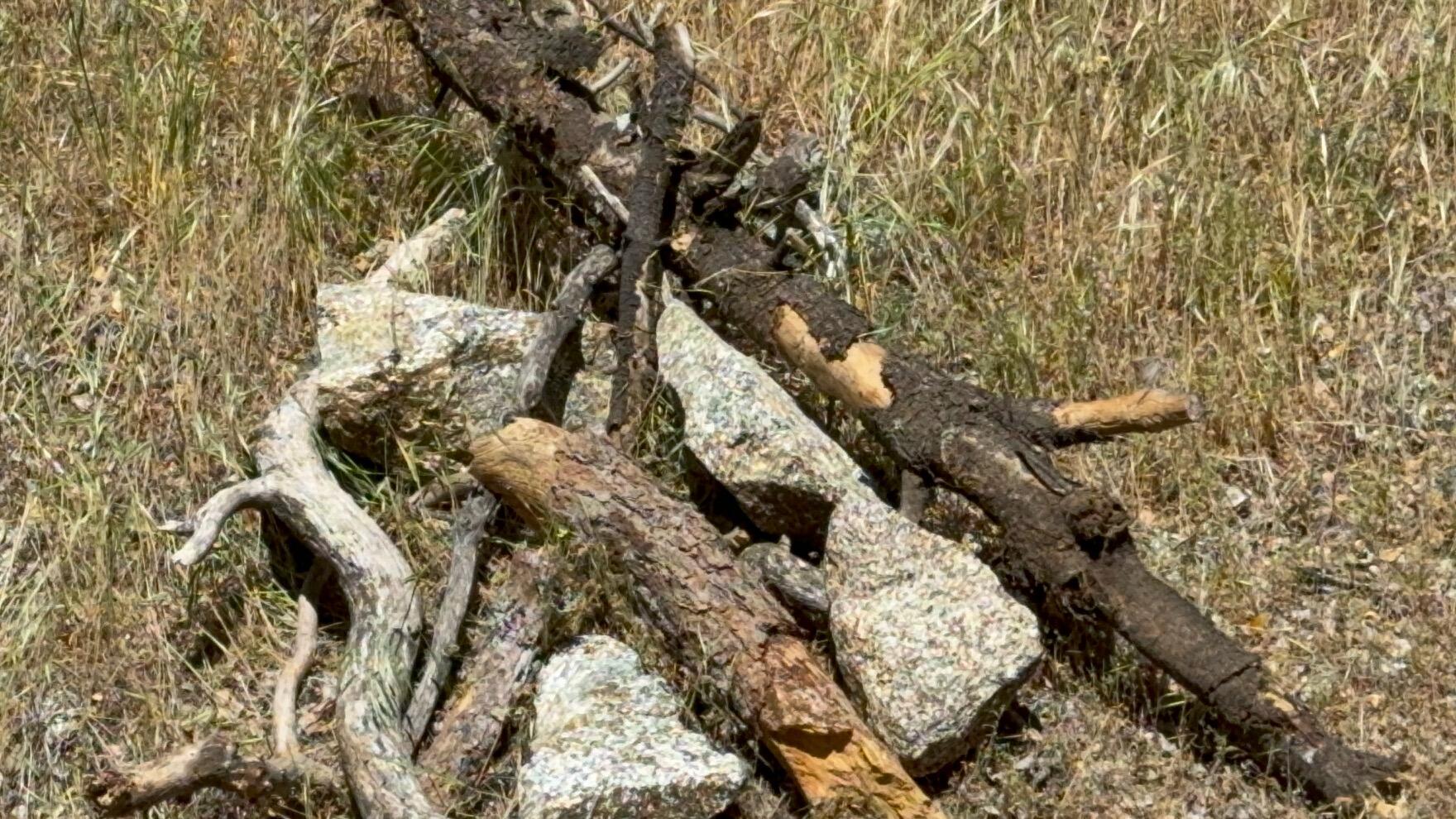 Tehachapi Mountains Tehachapi, CA 93561 - Photo 16 of 16