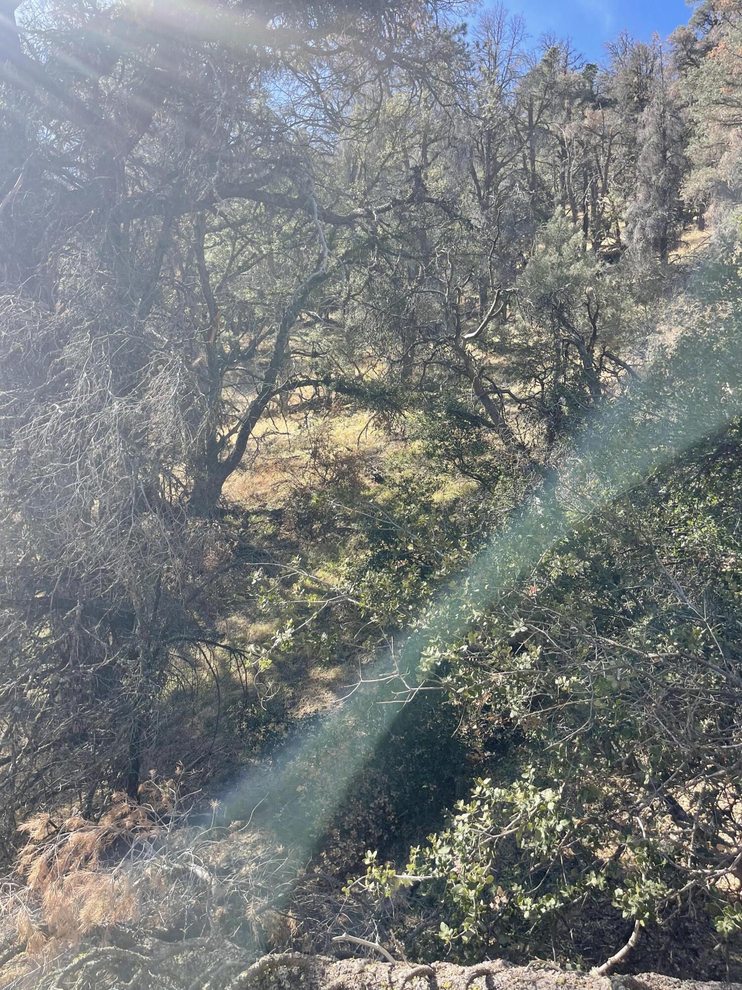 Tehachapi Mountains Tehachapi, CA 93561 - Photo 9 of 16 a yard of a house