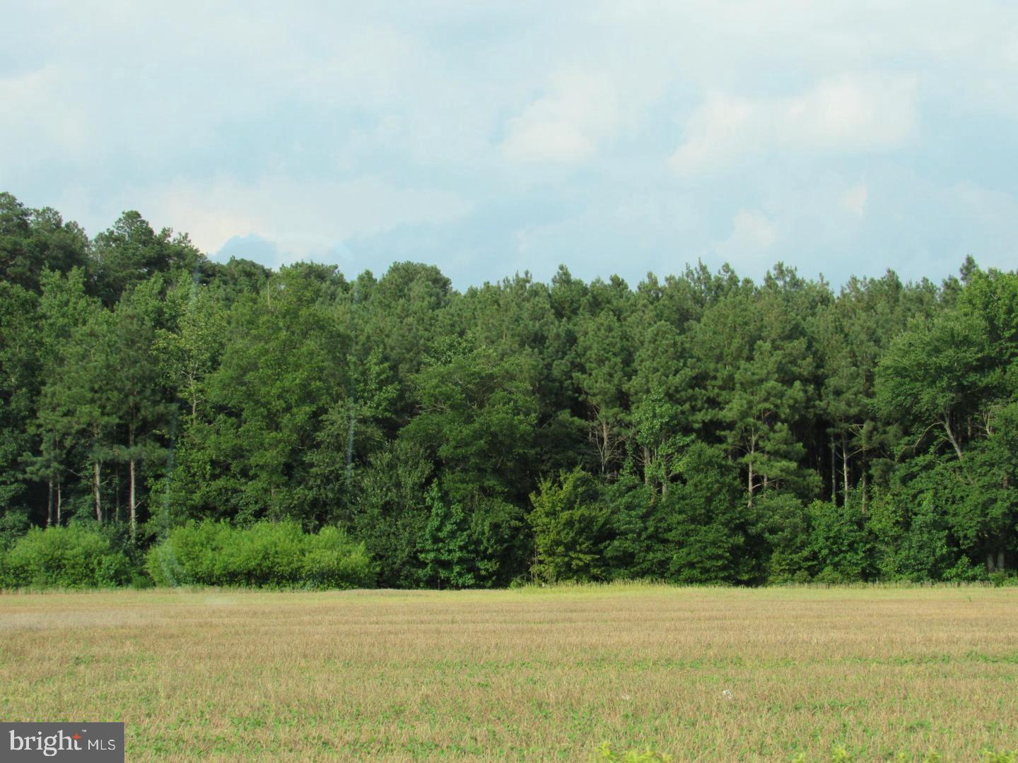 Lot 4 Old Stage Road Laurel, DE 19956 - Photo 2 of 7