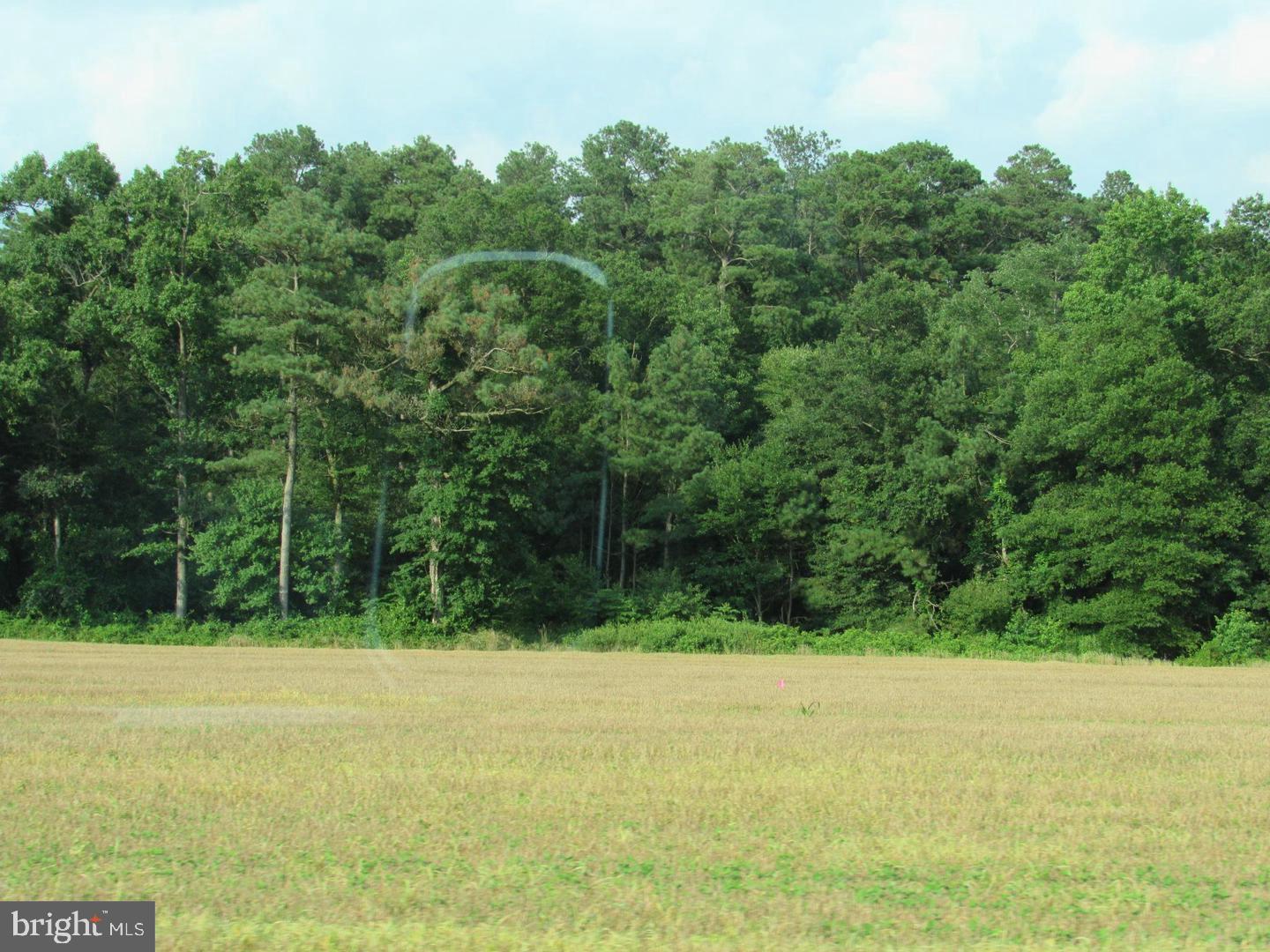 Lot 4 Old Stage Road Laurel, DE 19956 - Photo 5 of 7