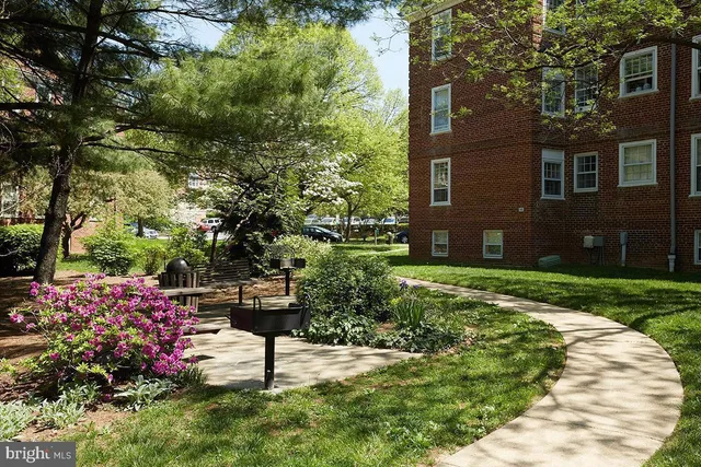 a view of a garden with plants and large trees