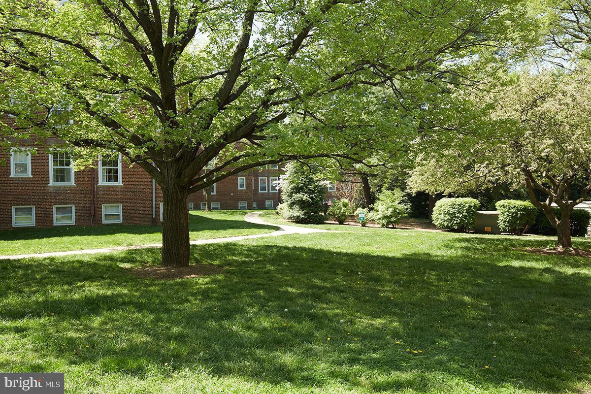 3880 Rodman Street Northwest, Unit C213 Washington, DC 20016 - Photo 13 of 32 a backyard of a house with lots of green space