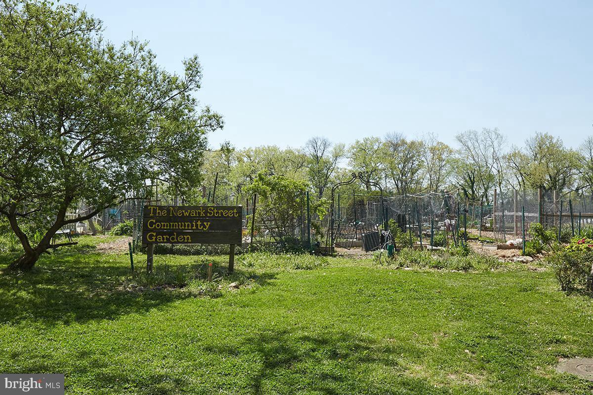 3880 Rodman Street Northwest, Unit C213 Washington, DC 20016 - Photo 24 of 32 a view of park