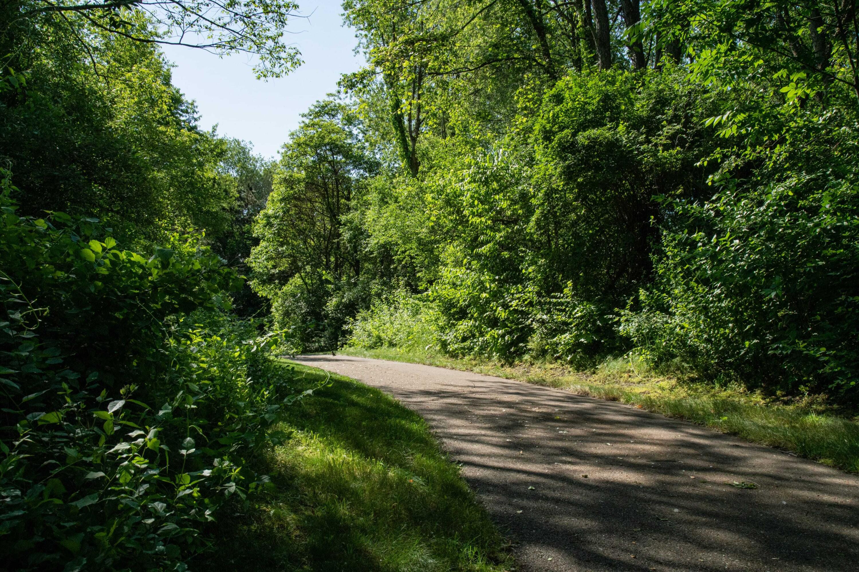 3526 Alianca Terrace Kalamazoo, MI 49009 - Photo 9 of 20 CYS09419-min