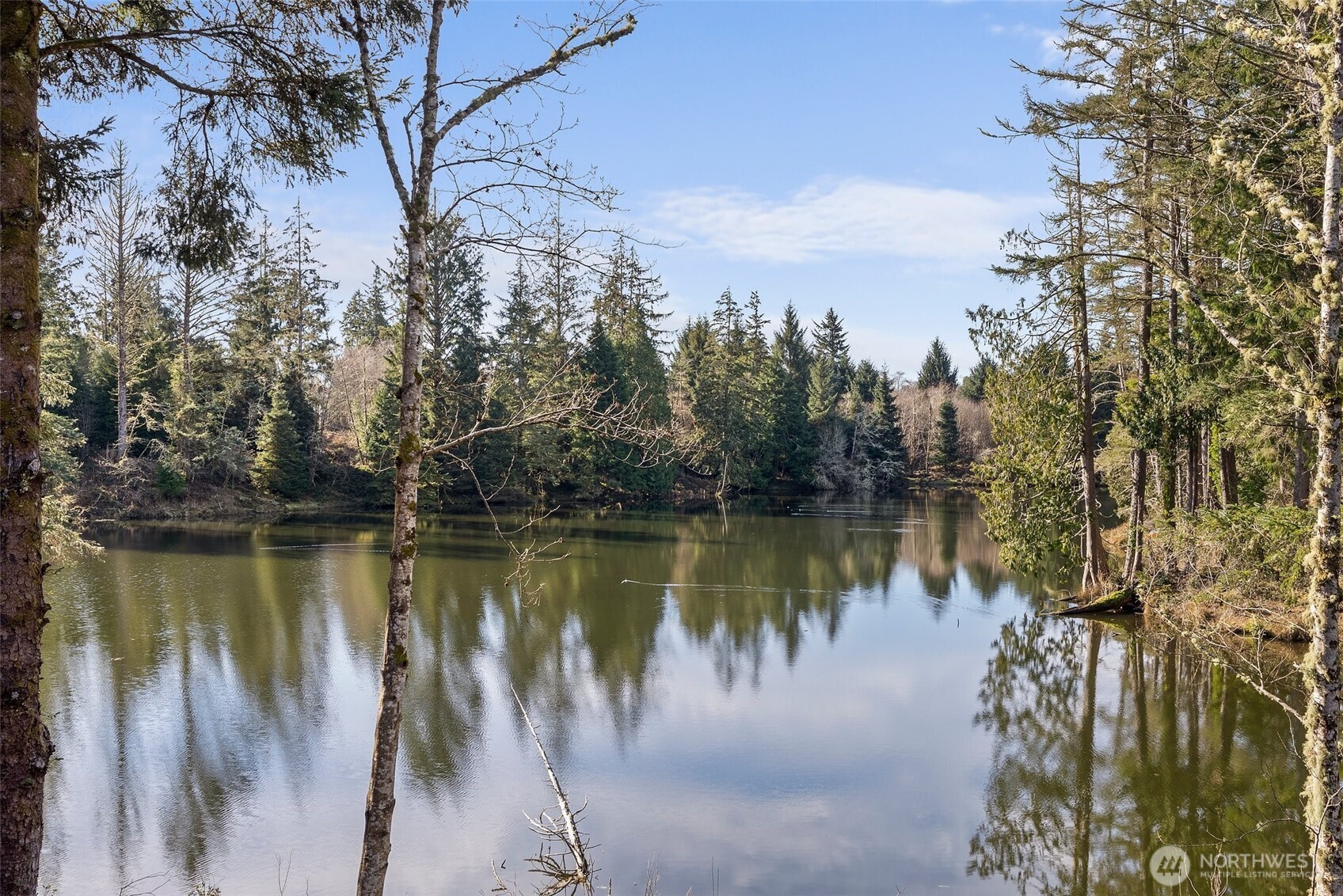 4 Lakeview Lane South Bend, WA 98586 - Photo 14 of 40 a view of a lake with a yard and trees