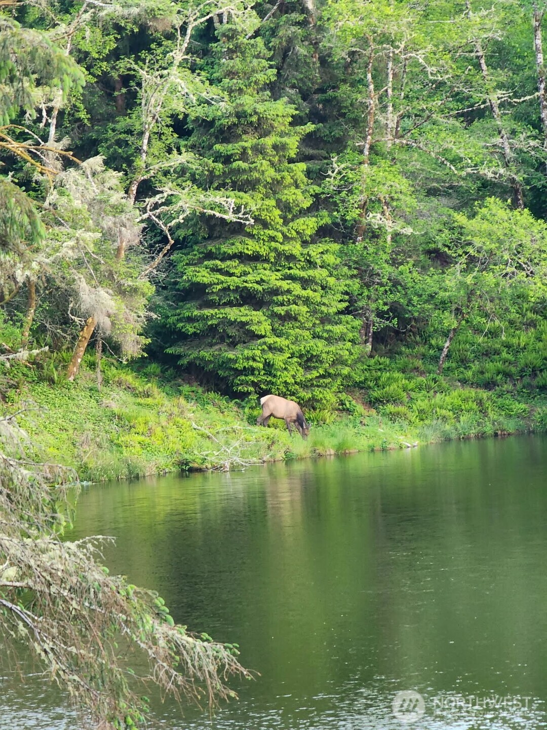 4 Lakeview Lane South Bend, WA 98586 - Photo 40 of 40