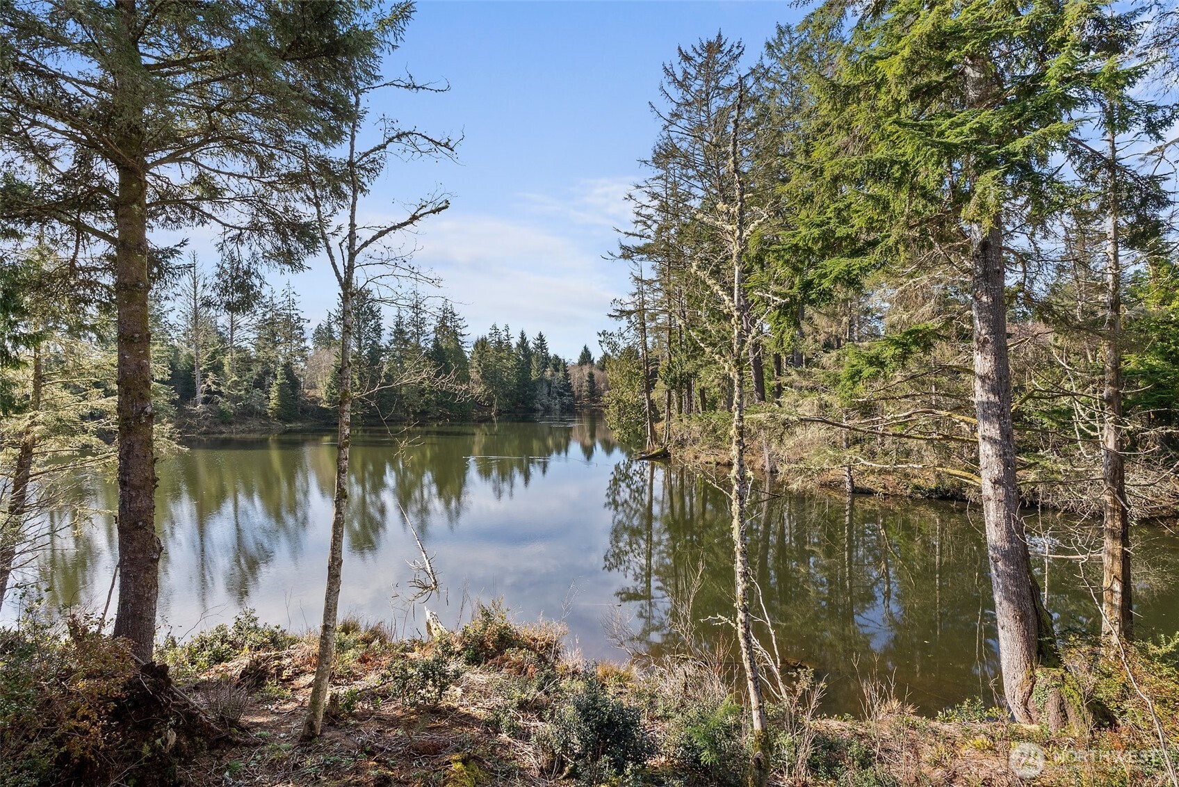 4 Lakeview Lane South Bend, WA 98586 - Photo 6 of 40 a view of a lake with a house in background