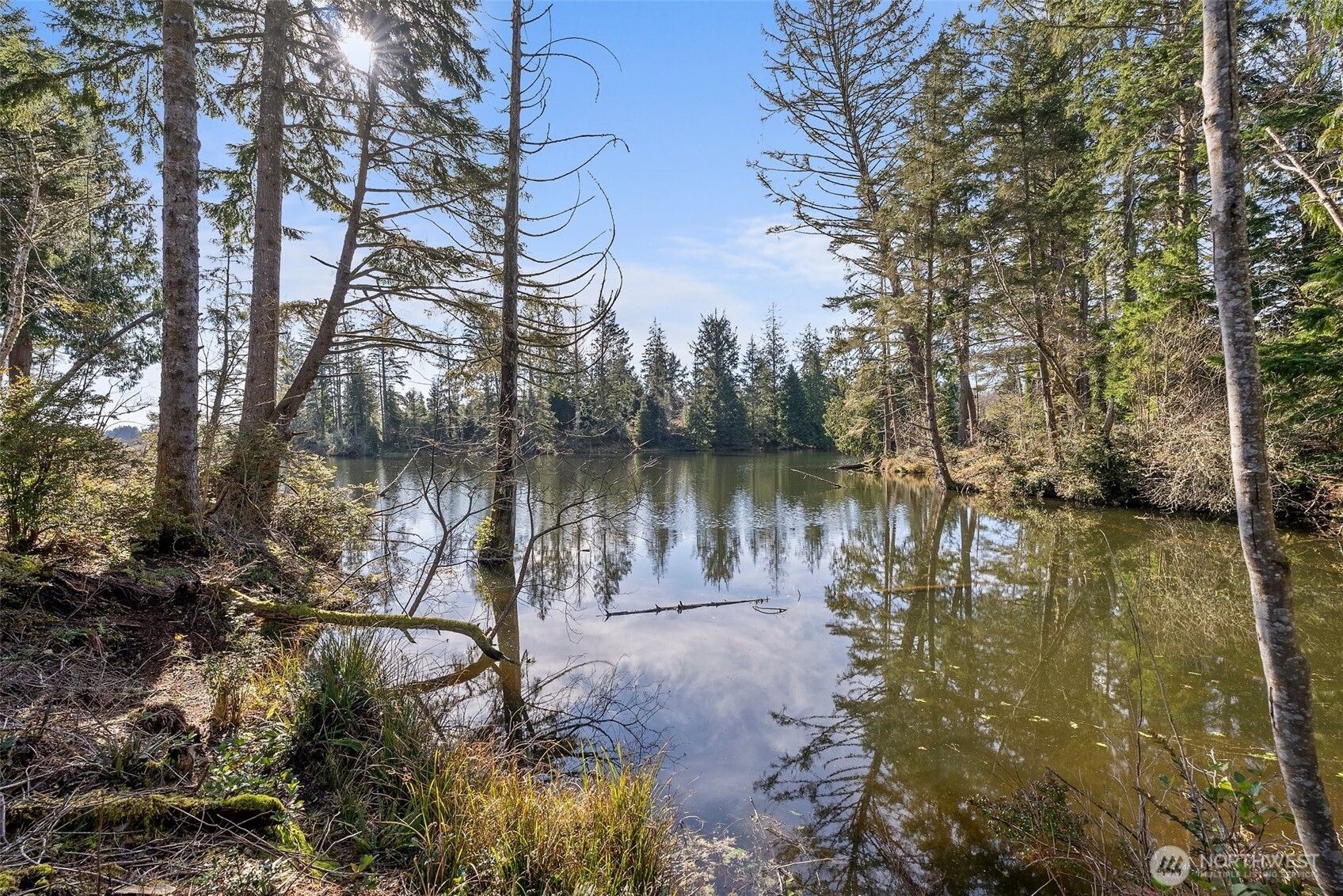 4 Lakeview Lane South Bend, WA 98586 - Photo 9 of 40 a view of a lake with houses