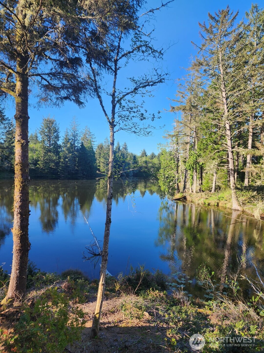 4 Lakeview Lane South Bend, WA 98586 - Photo 10 of 40 a view of a lake from a yard