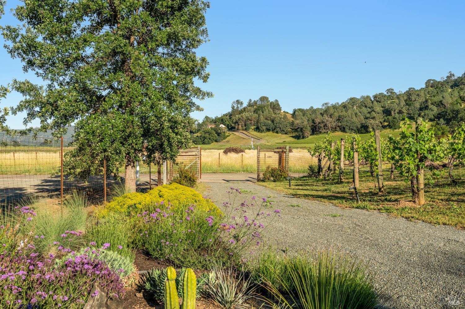 1785 Pope Canyon Road St. Helena, CA 94574 - Photo 2 of 30