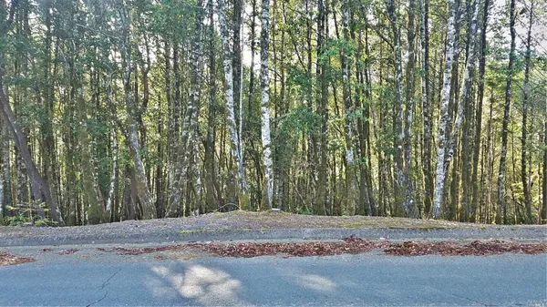 $7,000 | 2235 Goose Road, Willits, CA 95490