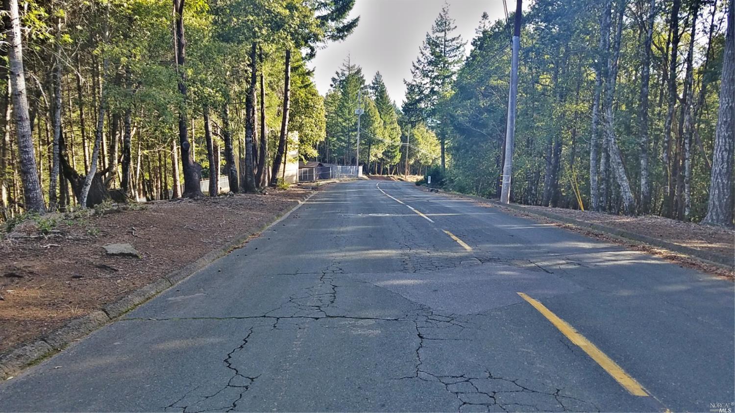 2235 Goose Road Willits, CA 95490 - Photo 3 of 4 a view of outdoor space with trees