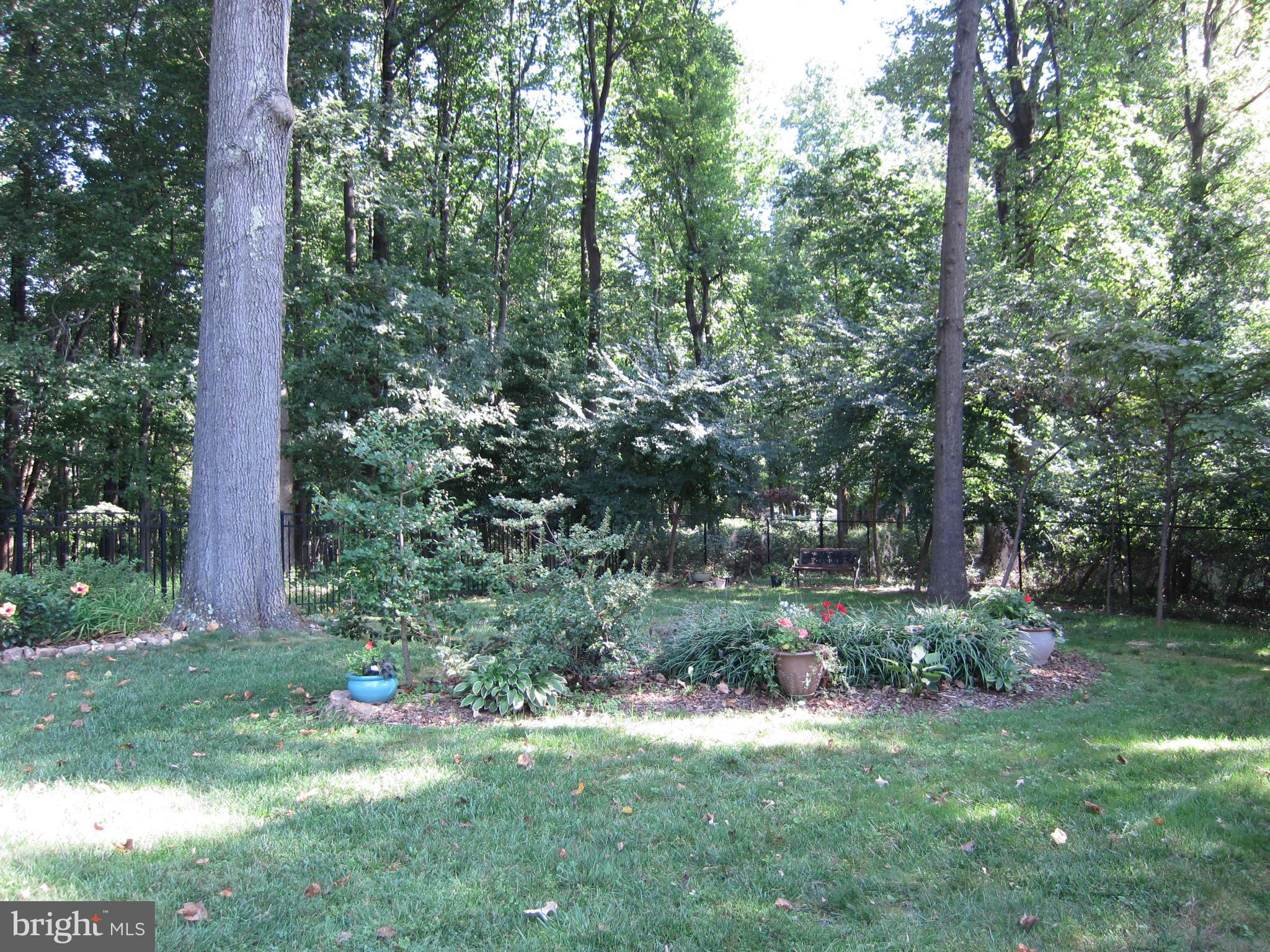 15212 Winstead Lane Silver Spring, MD 20905 - Photo 30 of 30 Nicely landscaped gardens