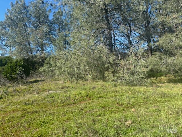 16295 Tinilyn Road Lower Lake, CA 95457 - Photo 8 of 12 Gallery Image 8